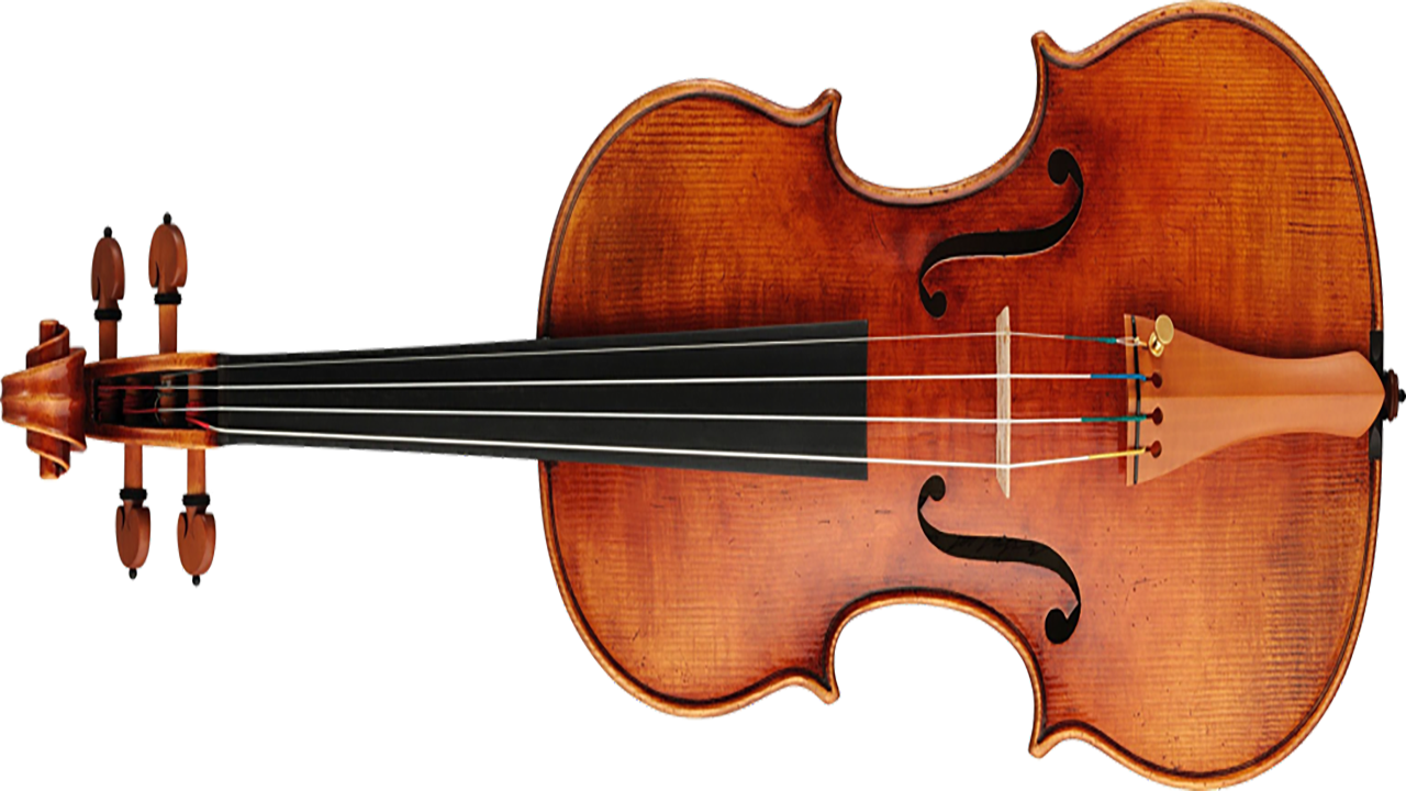 Violin Lessons