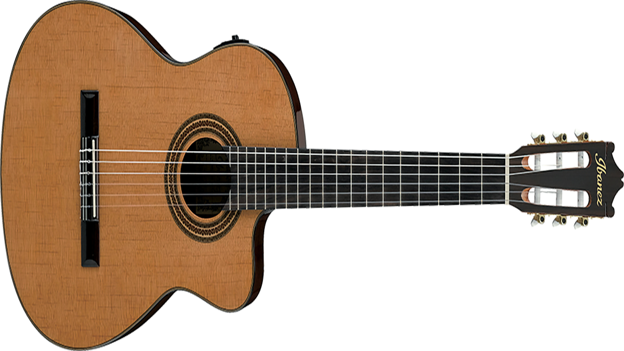 Guitar Lessons